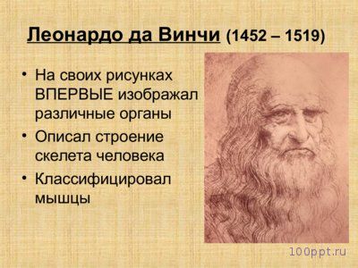 Презентация биологическая и социальная природа человека - слайд 7 7 слайд презентации биологическая и социальная природа человека