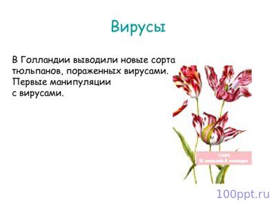 Презентация вирусы - слайд 2 2 слайд презентации вирусы