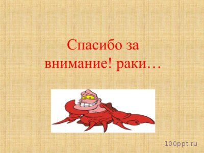 Презентация особенности ракообразных - слайд 11 11 слайд презентации особенности ракообразных