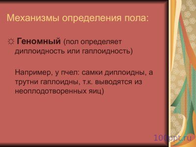 Презентация генетика пола - слайд 4 4 слайд презентации генетика пола