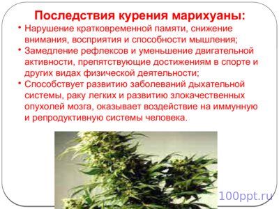 Презентация молодежь против наркотиков - слайд 4 4 слайд презентации молодежь против наркотиков