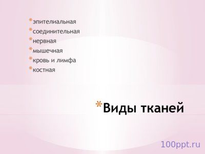 Презентация ткани - слайд 2 2 слайд презентации ткани