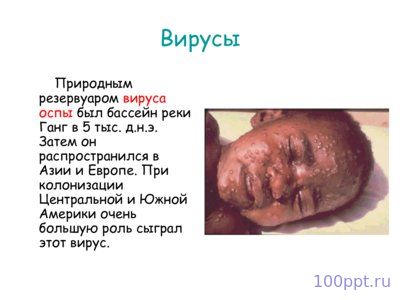 Презентация вирусы - слайд 3 3 слайд презентации вирусы