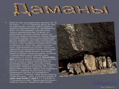 Презентация отряды млекопитающих - слайд 5 5 слайд презентации отряды млекопитающих