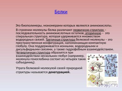 Презентация химический состав клетки и её строение - слайд 7 7 слайд презентации химический состав клетки и её строение