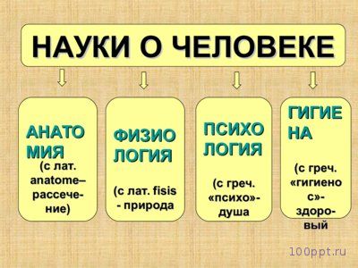Презентация биологическая и социальная природа человека - слайд 1 1 слайд презентации биологическая и социальная природа человека