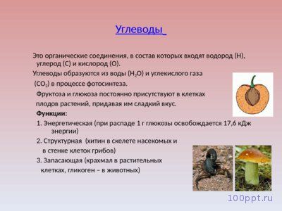 Презентация химический состав клетки и её строение - слайд 4 4 слайд презентации химический состав клетки и её строение