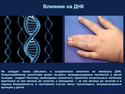 Презентация влияние алкоголя на мужчин - слайд 4 4 слайд презентации влияние алкоголя на мужчин