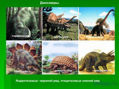 Презентация происхождение и многообразие пресмыкающихся - слайд 6 6 слайд презентации происхождение и многообразие пресмыкающихся