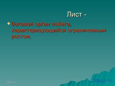 Презентация листья простые и сложные - слайд 2 2 слайд презентации листья простые и сложные
