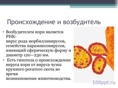 Презентация корь - слайд 3 3 слайд презентации корь