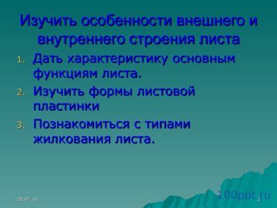 Презентация листья простые и сложные - слайд 1 1 слайд презентации листья простые и сложные