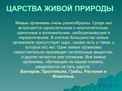Презентация царства живой природы - слайд 1 1 слайд презентации царства живой природы