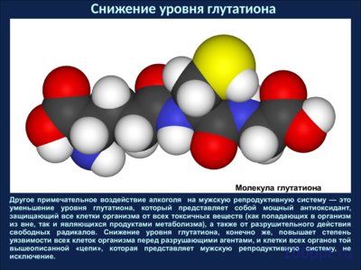 Презентация влияние алкоголя на мужчин - слайд 3 3 слайд презентации влияние алкоголя на мужчин