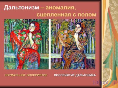 Презентация генетика пола - слайд 7 7 слайд презентации генетика пола