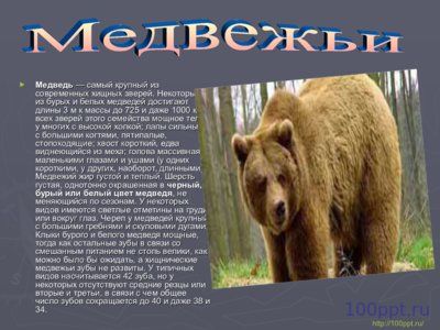 Презентация отряды млекопитающих - слайд 4 4 слайд презентации отряды млекопитающих