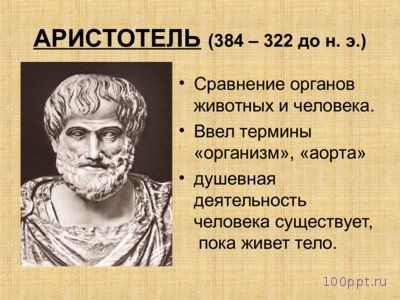 Презентация биологическая и социальная природа человека - слайд 4 4 слайд презентации биологическая и социальная природа человека