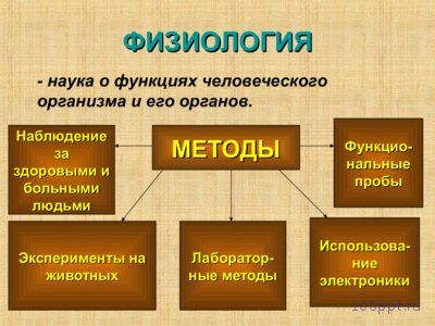 Презентация биологическая и социальная природа человека - слайд 10 10 слайд презентации биологическая и социальная природа человека