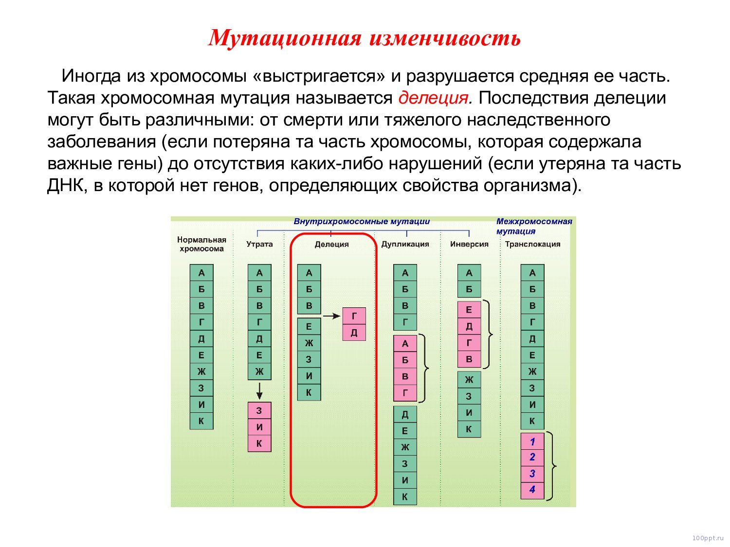 Презентация наследственная изменчивость - слайд 8 8 слайд презентации наследственная изменчивость
