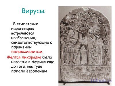Презентация вирусы - слайд 1 1 слайд презентации вирусы