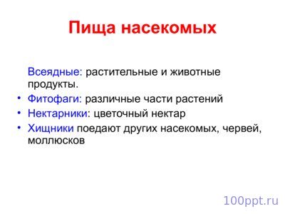 Презентация класс насекомые - слайд 6 6 слайд презентации класс насекомые