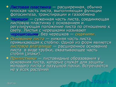 Презентация листья простые и сложные - слайд 4 4 слайд презентации листья простые и сложные