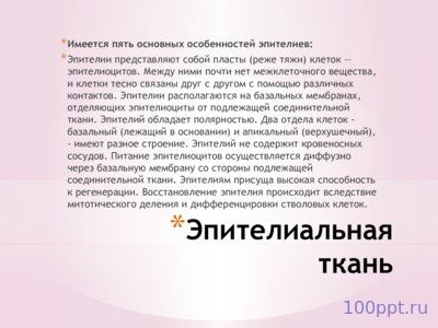 Презентация ткани - слайд 3 3 слайд презентации ткани