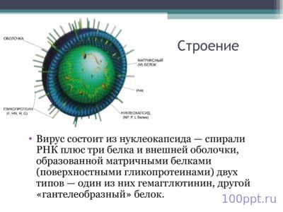 Презентация корь - слайд 1 1 слайд презентации корь