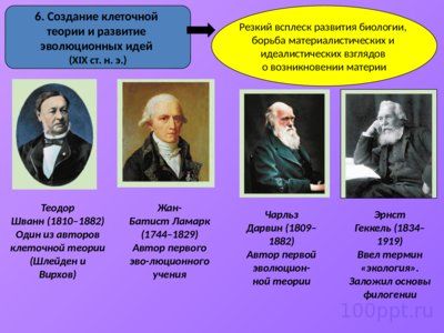 Презентация методы исследования в биологии - слайд 10 10 слайд презентации методы исследования в биологии