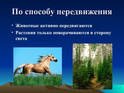 Презентация биология - наука о живой природе - слайд 4 4 слайд презентации биология - наука о живой природе