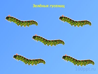 Презентация таинственный мир насекомых - слайд 10 10 слайд презентации таинственный мир насекомых