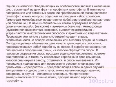 Презентация жизненный цикл мха Фунария - слайд 6 6 слайд презентации жизненный цикл мха Фунария
