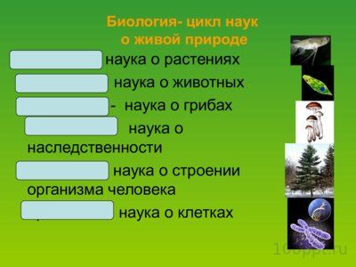 Презентация биология как наука - слайд 5 5 слайд презентации биология как наука