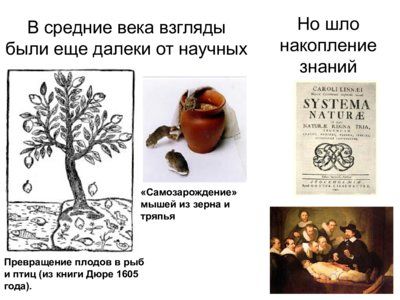 Презентация история эволюционных взглядов - слайд 4 4 слайд презентации история эволюционных взглядов