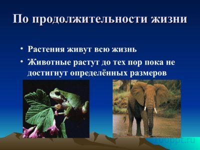 Презентация биология - наука о живой природе - слайд 3 3 слайд презентации биология - наука о живой природе