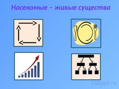 Презентация таинственный мир насекомых - слайд 2 2 слайд презентации таинственный мир насекомых