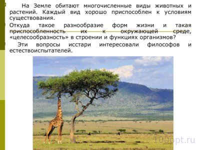 Презентация эволюционное учение - слайд 1 1 слайд презентации эволюционное учение