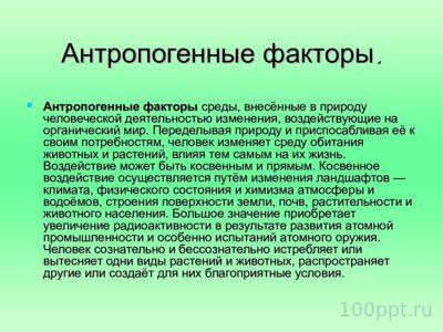Презентация биогеоценоз влажного тропического леса - слайд 2 2 слайд презентации биогеоценоз влажного тропического леса