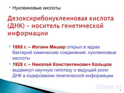 Презентация биохимические основы наследственности - слайд 4 4 слайд презентации биохимические основы наследственности