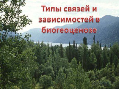 Презентация совместная жизнь видов в биогеоценозе - слайд 3 3 слайд презентации совместная жизнь видов в биогеоценозе
