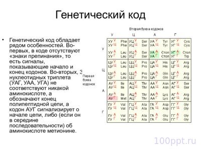 Презентация материальные основы наследственности - слайд 2 2 слайд презентации материальные основы наследственности