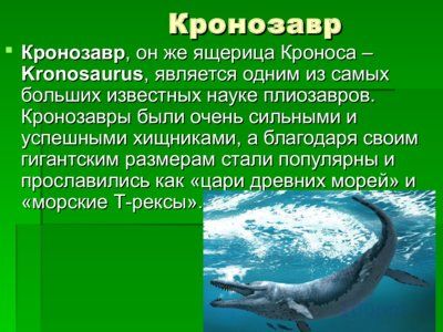 Презентация морские динозавры - слайд 7 7 слайд презентации морские динозавры