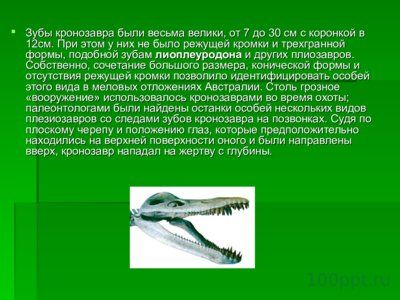 Презентация морские динозавры - слайд 8 8 слайд презентации морские динозавры