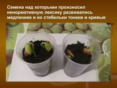 Презентация влияние ненормативной лексики на наследственность - слайд 11 11 слайд презентации влияние ненормативной лексики на наследственность