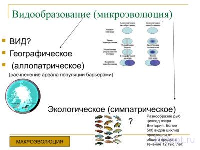 Презентация эволюция органического мира - слайд 7 7 слайд презентации эволюция органического мира