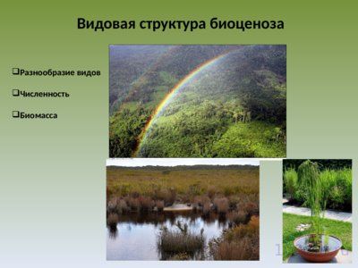 Презентация экология сообществ - слайд 3 3 слайд презентации экология сообществ