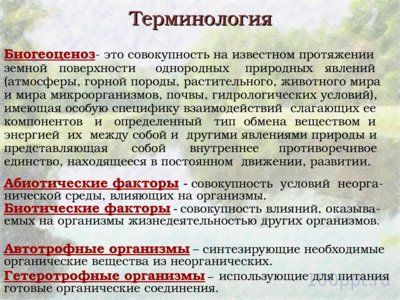 Презентация биогеоценоз пресного водоема - слайд 1 1 слайд презентации биогеоценоз пресного водоема