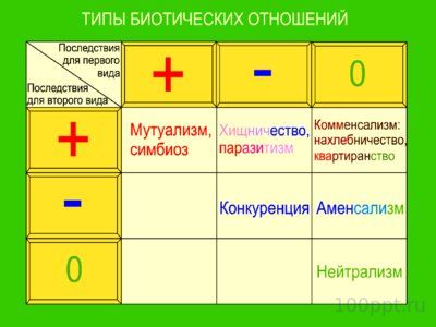 Презентация совместная жизнь видов в биогеоценозе - слайд 12 12 слайд презентации совместная жизнь видов в биогеоценозе