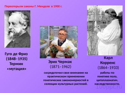 Презентация методы исследования в биологии - слайд 11 11 слайд презентации методы исследования в биологии