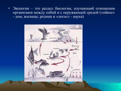 Презентация биология - наука о живой природе - слайд 9 9 слайд презентации биология - наука о живой природе
